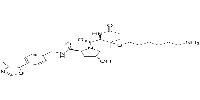VH032-thiol-C6-NH2图片