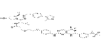 PROTAC FAK degrader 1图片