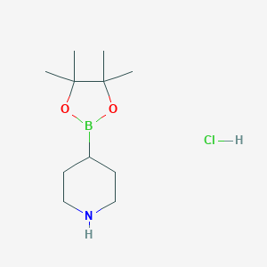 piperidine-4-boronicacidpinacolesterHCl图片