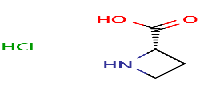 (2S)-azetidine-2-carboxylicacidhydrochloride图片