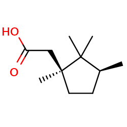 2-[(1S,3S)-1,2,2,3-tetramethylcyclopentyl]aceticacid图片