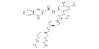 HM-30181图片