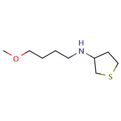 N-(4-methoxybutyl)thiolan-3-amine图片