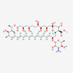 Amphotericin B Methyl Ester 90%图片