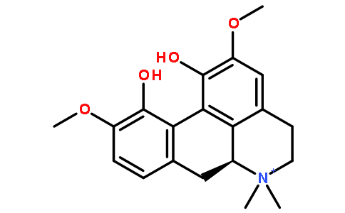 木兰花碱图片
