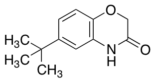 6-(叔丁基)-2H-苯并[b][1,4]恶嗪-3(4H)-酮图片