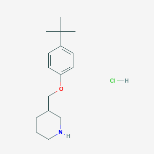 4-(tert-Butyl)phenyl 3-Piperidinylmethylether Hydrochloride图片