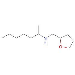 (heptan-2-yl)[(oxolan-2-yl)methyl]amine图片