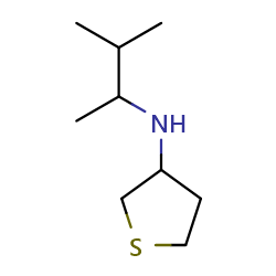 N-(3-methylbutan-2-yl)thiolan-3-amine图片