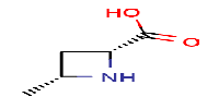 (2R,4R)-4-methylazetidine-2-carboxylicacid图片