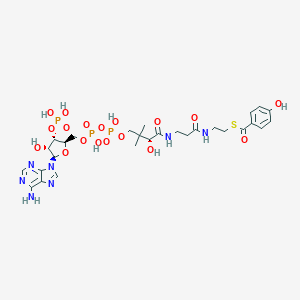 4-hydroxybenzoyl-CoA图片