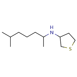 N-(6-methylheptan-2-yl)thiolan-3-amine图片
