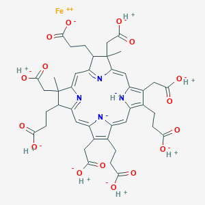 Siroheme图片