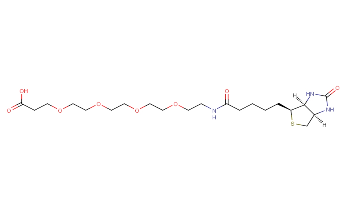 Biotin-PEG4-acid图片