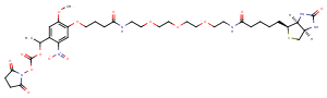 PC Biotin-PEG3-NHS ester图片