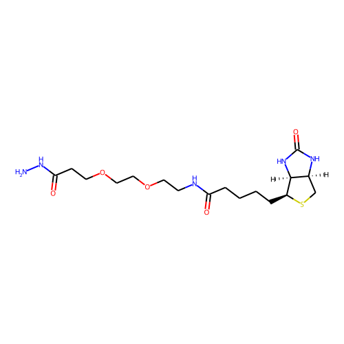 (+)-Biotin-PEG2-hydrazide图片