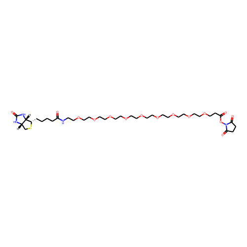 Biotin-PEG9-NHS Ester图片