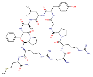 Small cardioactive peptide A图片