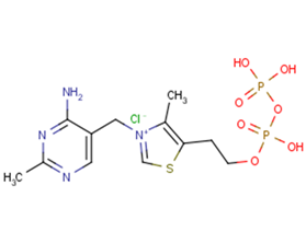 Thiamine pyrophosphateͼƬ