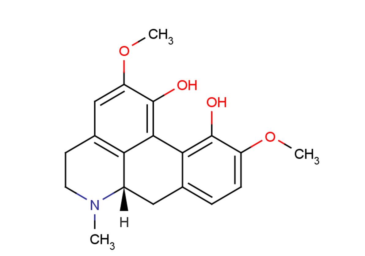 Corytuberine图片