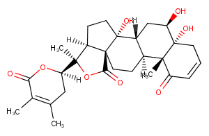 Physaminimin N图片