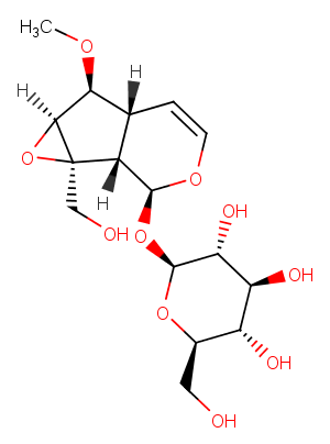 6-O-Methylcatalpol图片
