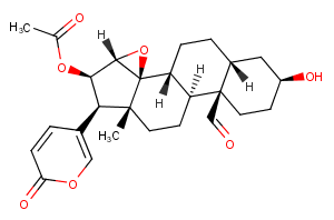 19-Oxocinobufagin图片
