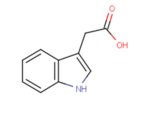 3-Indoleacetic acid图片