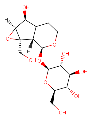 Dihydrocatalpol图片