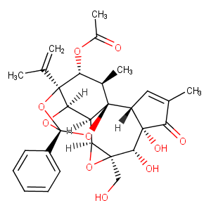 YuanhuafinͼƬ