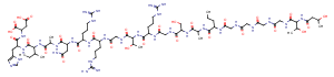 PKI(5-24)ͼƬ