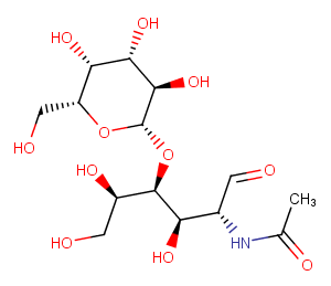 N-acetyl-D-Lactosamine图片