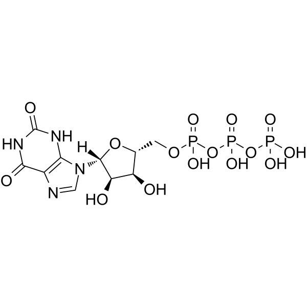 Xanthosine-5'-Triphosphate图片