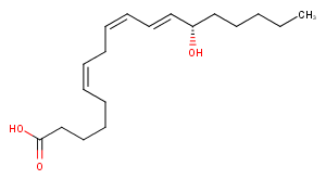 13(S)-HOTrE(γ)图片