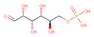 D-Glucose 6-Phosphate图片