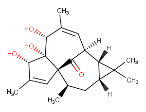 20-Deoxyingenol图片