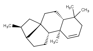 Kaurene图片