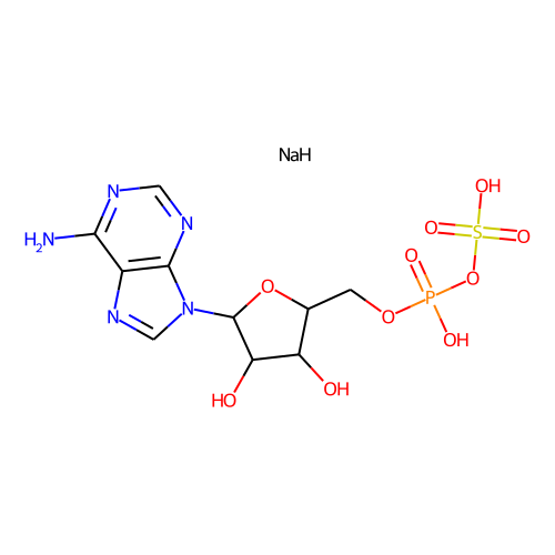 Adenosine 5'-phosphosulfate(sodium salt)图片
