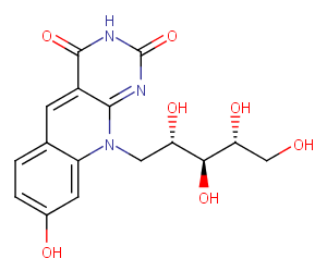 Coenzyme FO图片