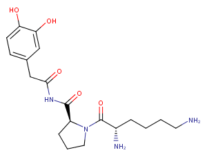 Dopamine,lys-pro-amide-图片