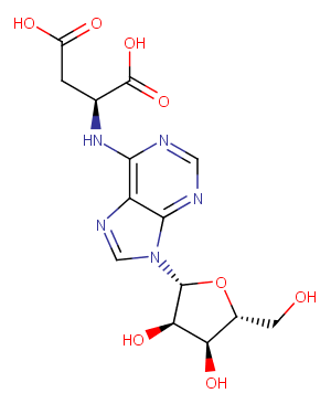 Succinyladenosine图片