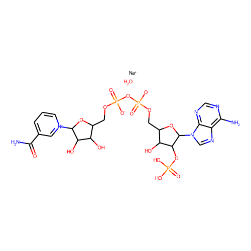 NADP+(sodium salt hydrate)图片