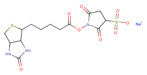 Sulfo-NHS-Biotin图片