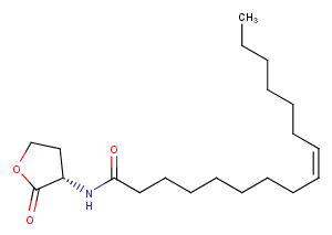 N-cis-hexadec-9Z-enoyl-L-Homoserine lactone图片