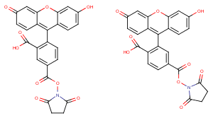 5(6)-FAM SE图片