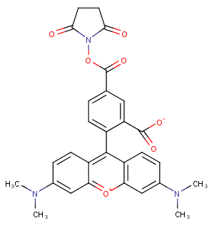 5-TAMRA-SE图片
