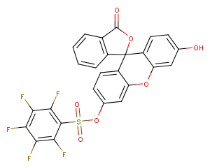 Pentafluorobenzenesulfonyl fluorescein图片