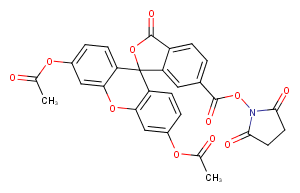 6-CFDA N-succinimidyl ester图片