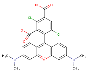 1,4-Dichloro 5-carboxytetramethylrhodamine图片