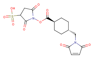 trans-Sulfo-SMCC图片